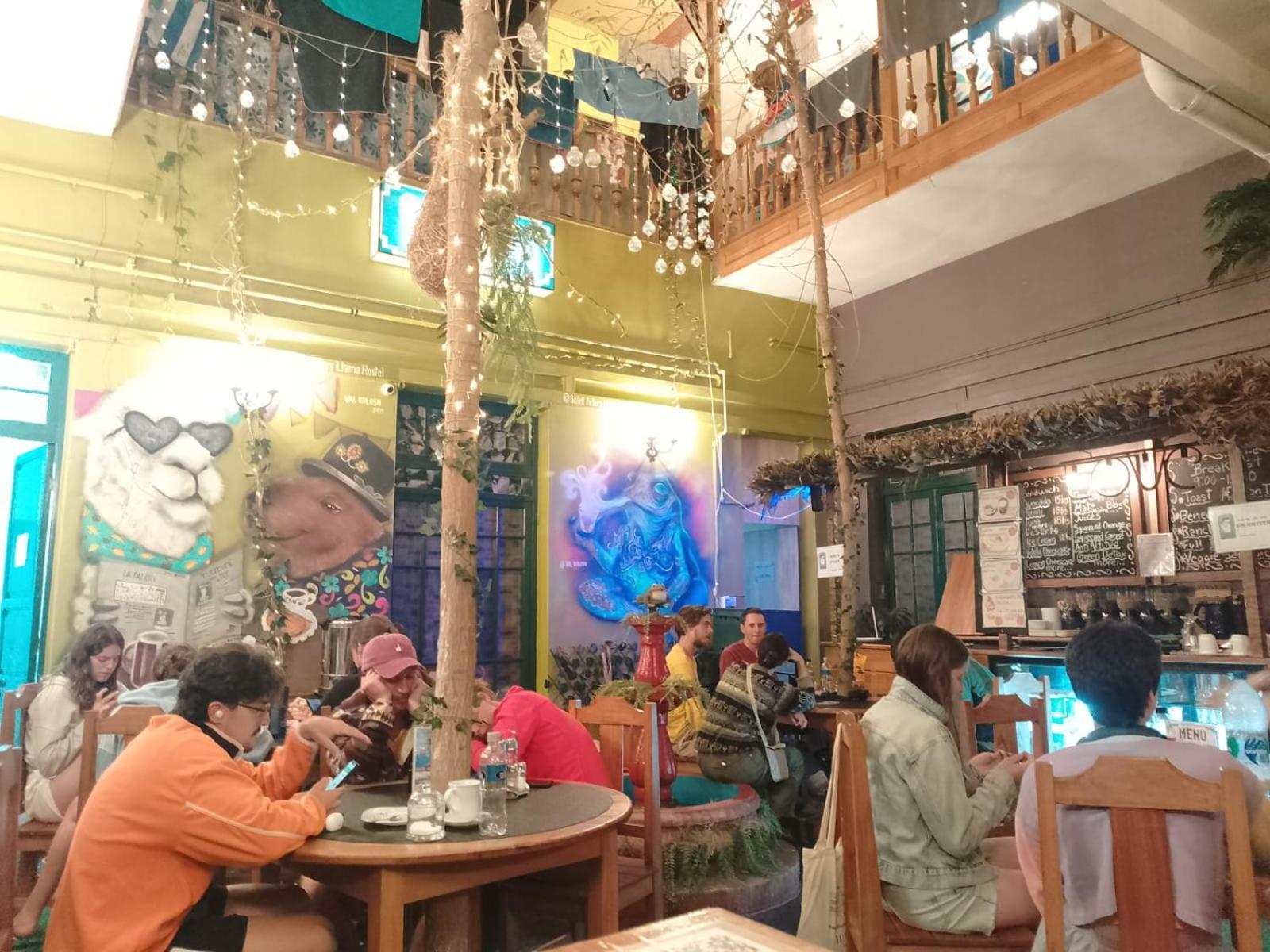 Saint Peter'S Llama Hostal La Paz Exterior photo